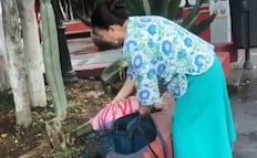 Se castigará a quienes roben o dañen plantas de jardines municipales, sentencia Ayuntamiento de SLP