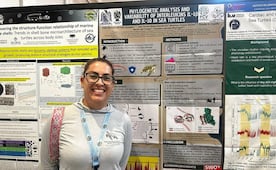 Ciencia potosina cruza fronteras: UASLP lleva investigación de tortugas marinas hasta Hawái