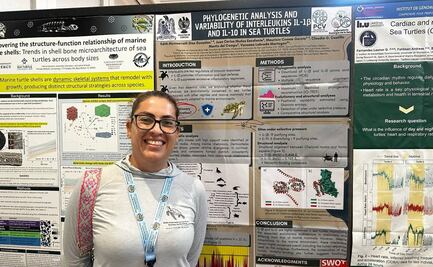 Ciencia potosina cruza fronteras: UASLP lleva investigación de tortugas marinas hasta Hawái