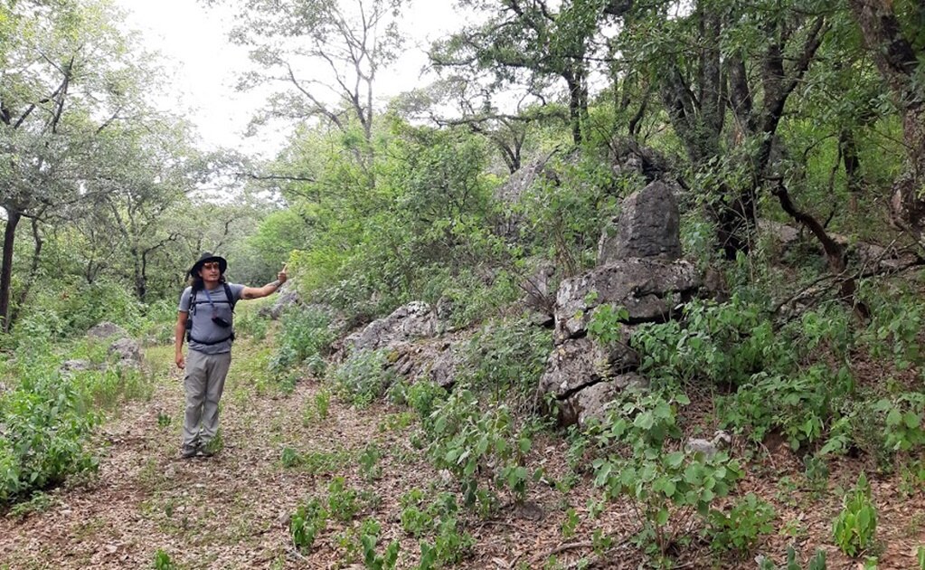 Conoce Sierra de Álvarez, destino en SLP para practicar rappel y senderismo