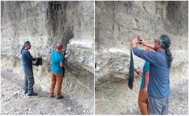 ¡Entérate! Encuentran más restos de mamut en Cerritos, SLP; INAH prepara su conservación