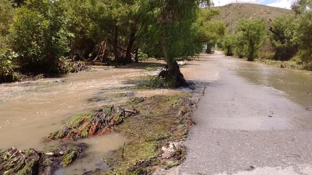 Foto: El Universal San Luis Potosí.