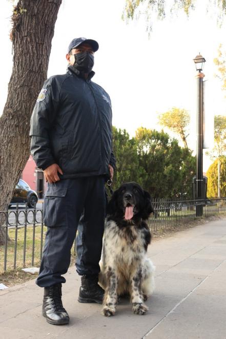 Bonie, Candie y Camila, un ejemplo de amor y profesionalismo de la unidad canina de SLP