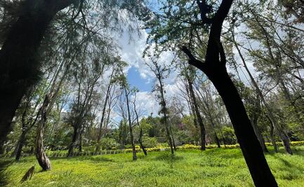 ¡Vuelve la vida! Así luce el Parque de Morales tras las intensas lluvias de San Luis Potosí 