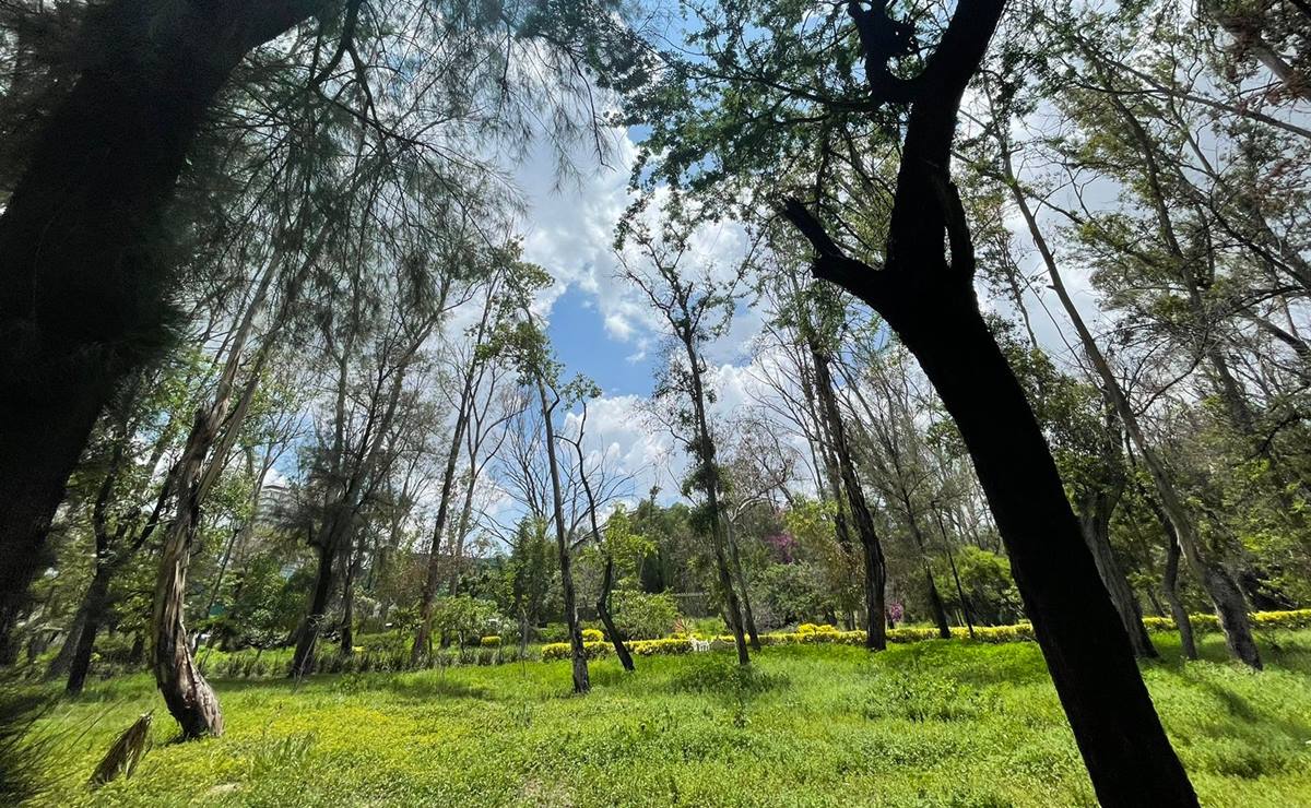 ¡Vuelve la vida! Así luce el Parque de Morales tras las intensas lluvias de San Luis Potosí