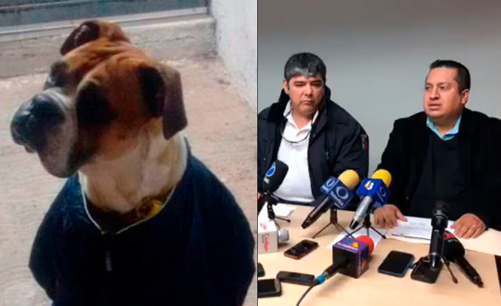 Ecología continuará con investigación por muerte de "Miguelito"