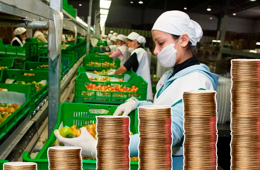 Directivos de invernaderos de Santa Rita ganarían más que AMLO