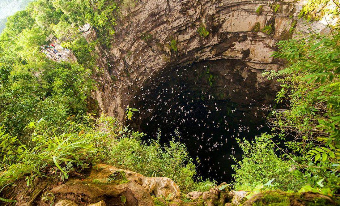 Entre las seis y siete de la mañana las aves Streptoprocne zonaris, mejor conocidas como golondrinas, salen desde la cueva de 512 metros de profundidad. Foto: Sectur SLP
