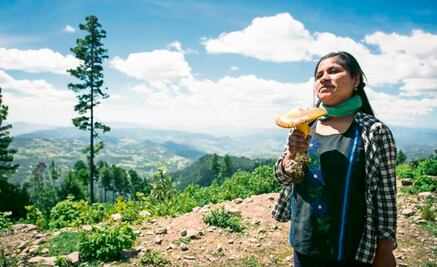 En Oaxaca enseñan a vivir de los hongos