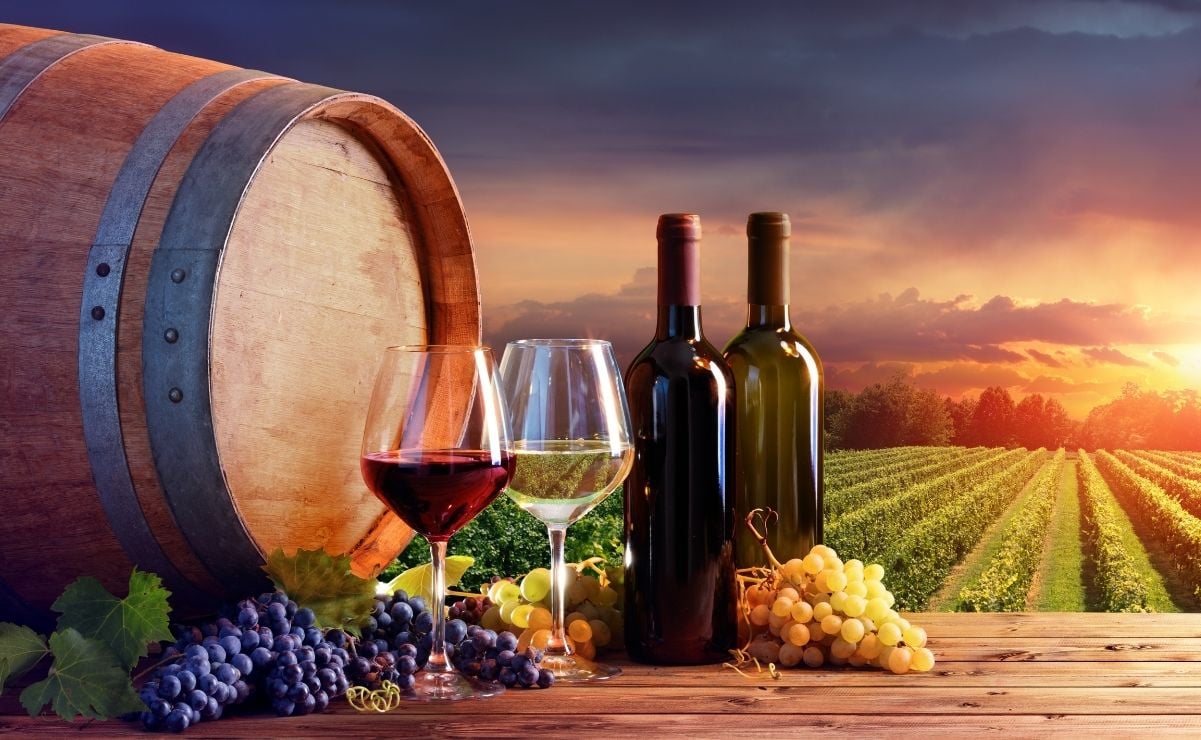 Atractivos turísticos de San Luis Potosí. La ruta del vino: Viñedos imperdibles que están cerca de la capital