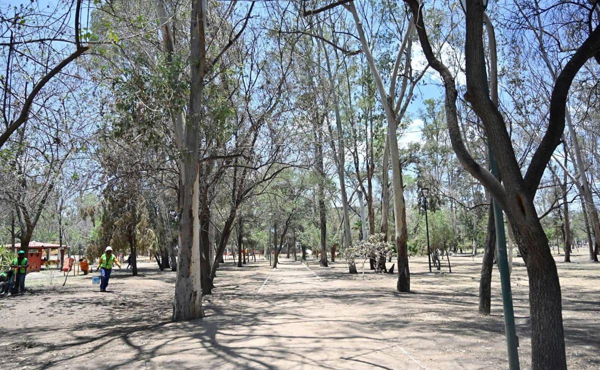 Seduvop combatirá en tribunales amparo que cancela rehabilitación del Parque de Morales