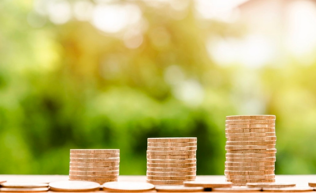 Publican Ley de Ingresos 2019 en el Diario Oficial