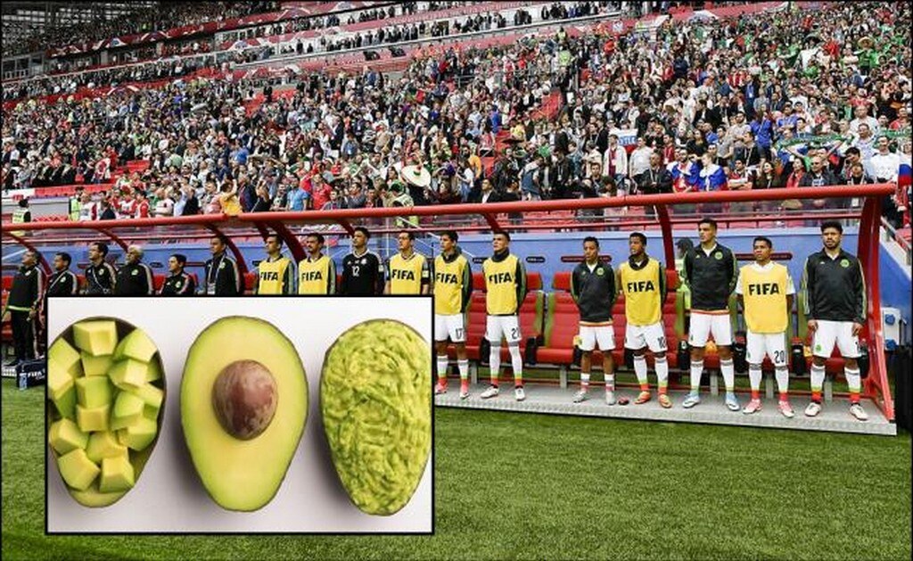 El aguacate y otros productos llegarán al Mundial de Rusia 2018