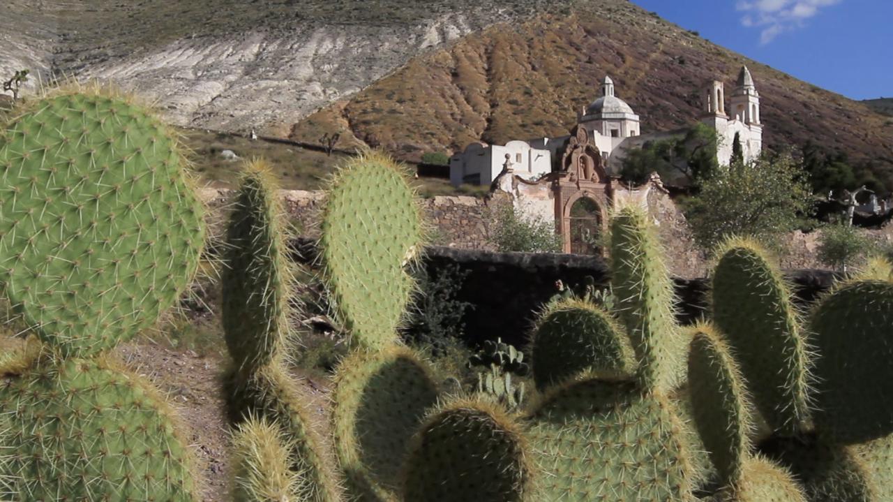 Sector turístico de SLP registra crecimiento anual de 13.8%