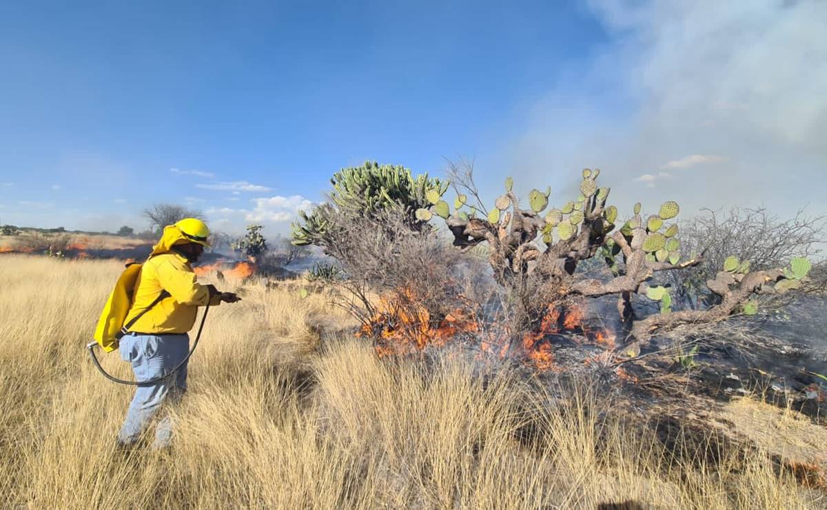 Evacuan a mil 800 trabajadores de la planta General Motors por incendio de pastizales en La Pila