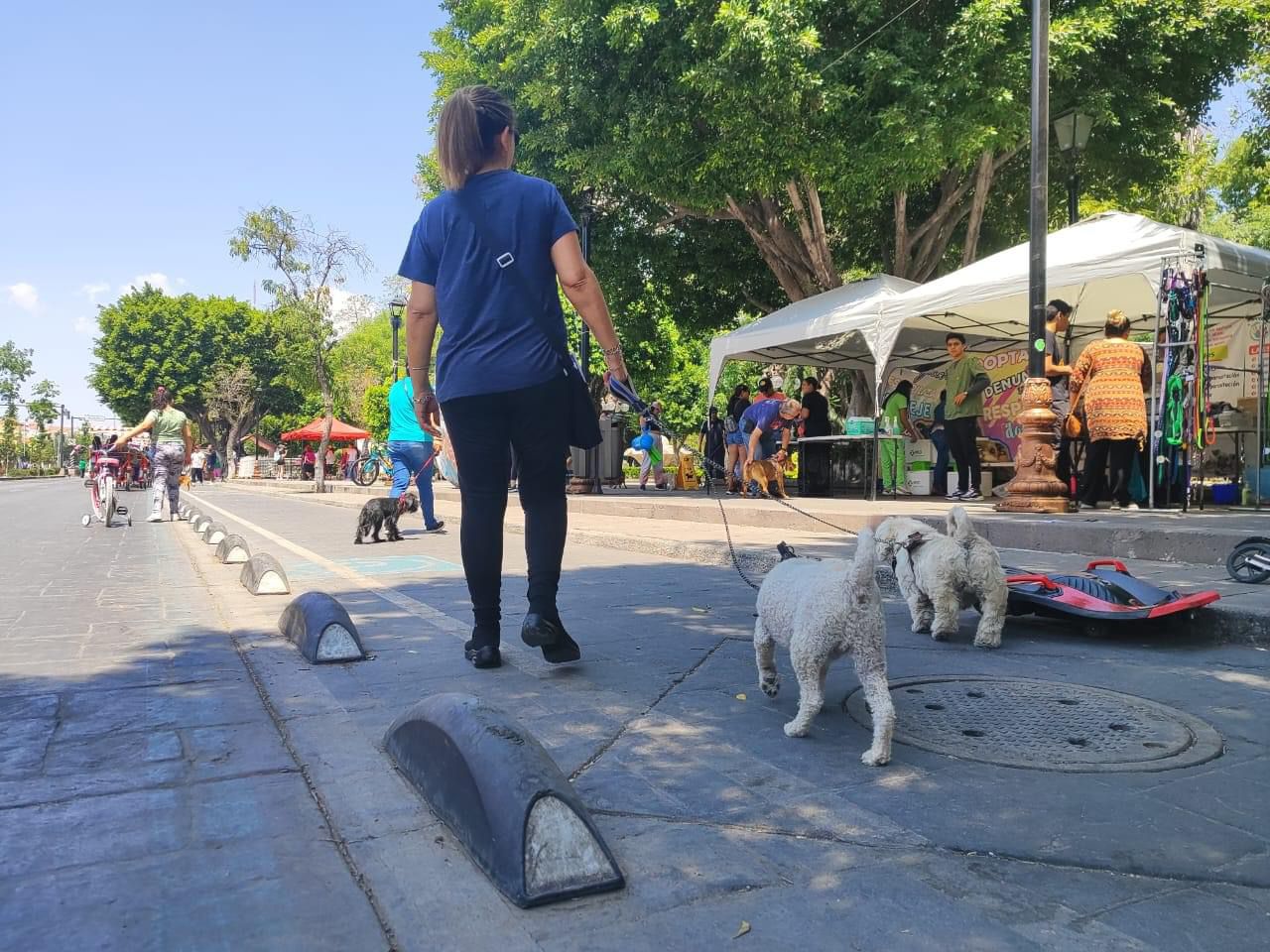 Paseo Dominical de SLP