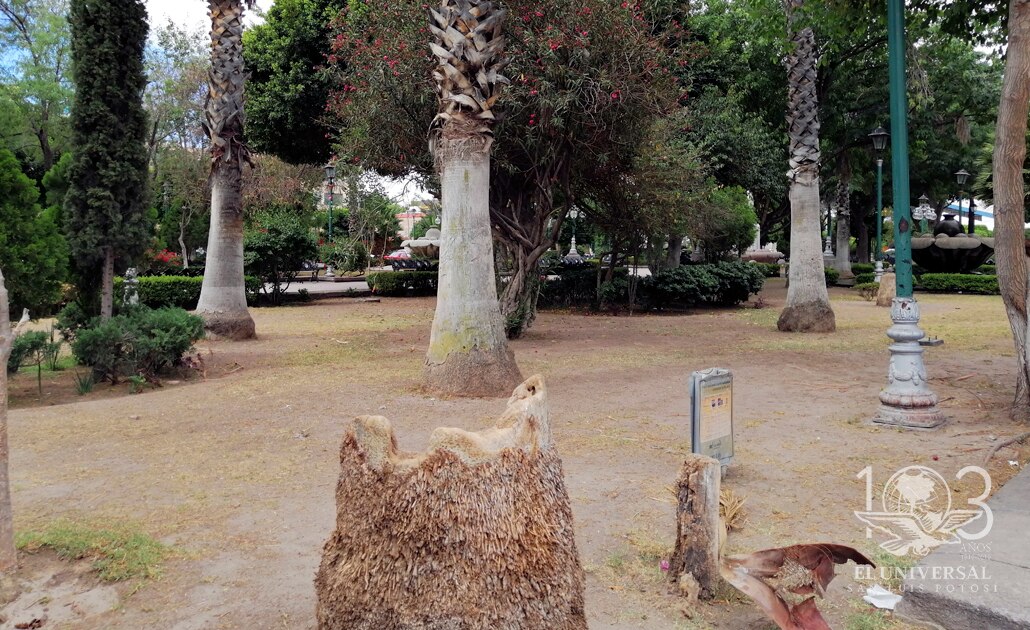 Urgen a rehabilitar jardín de Tequis