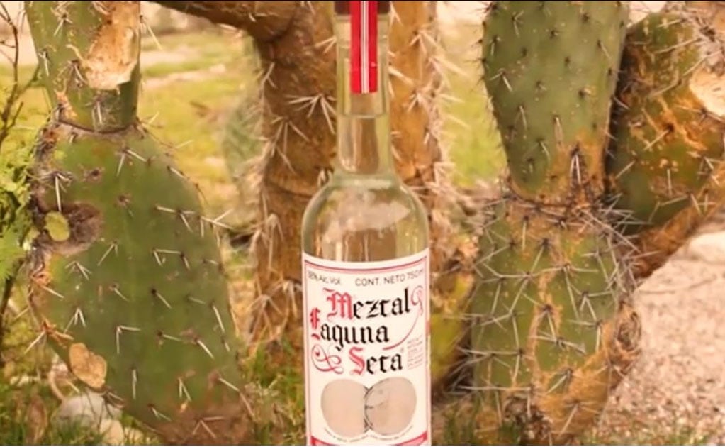 Mezcal de Laguna Seca gana terreno en mercado nacional