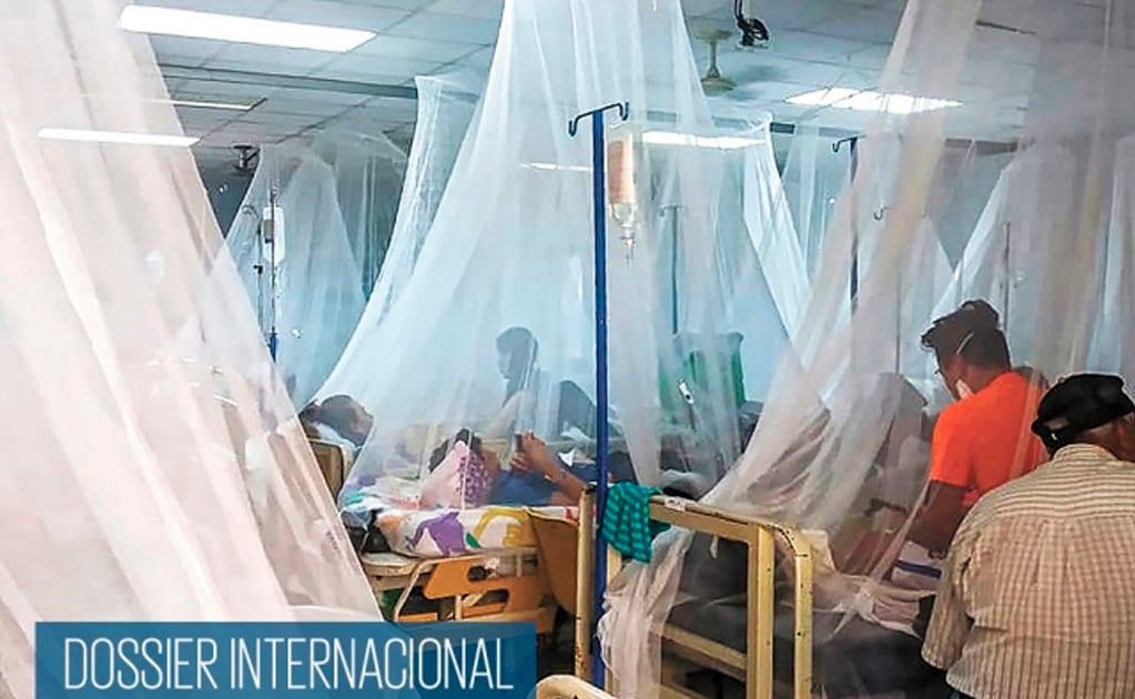 Dengue, amenaza en América