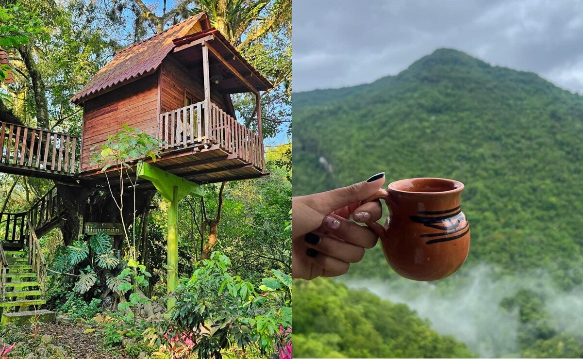 ¿Cuánto cuesta dormir en una casa del árbol en el Pueblo Mágico de Xilitla?