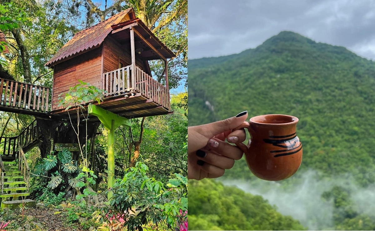 Casas del árbol en Xilitla. Fotos: Villa Ecoturística La Huerta. Xilitla, SLP. México