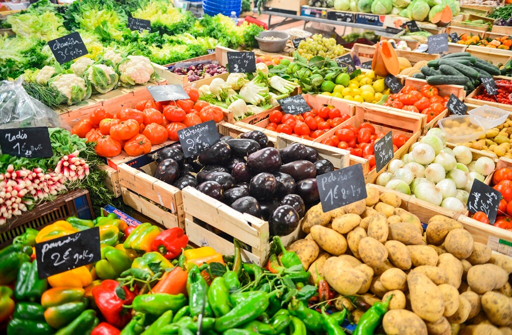 En 2019 arrancará clúster agroalimentario en SLP