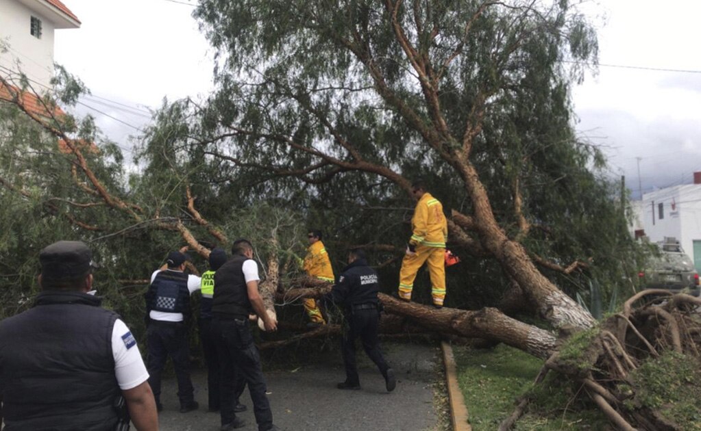 Más de 170 llamados de emergencia por rachas de viento