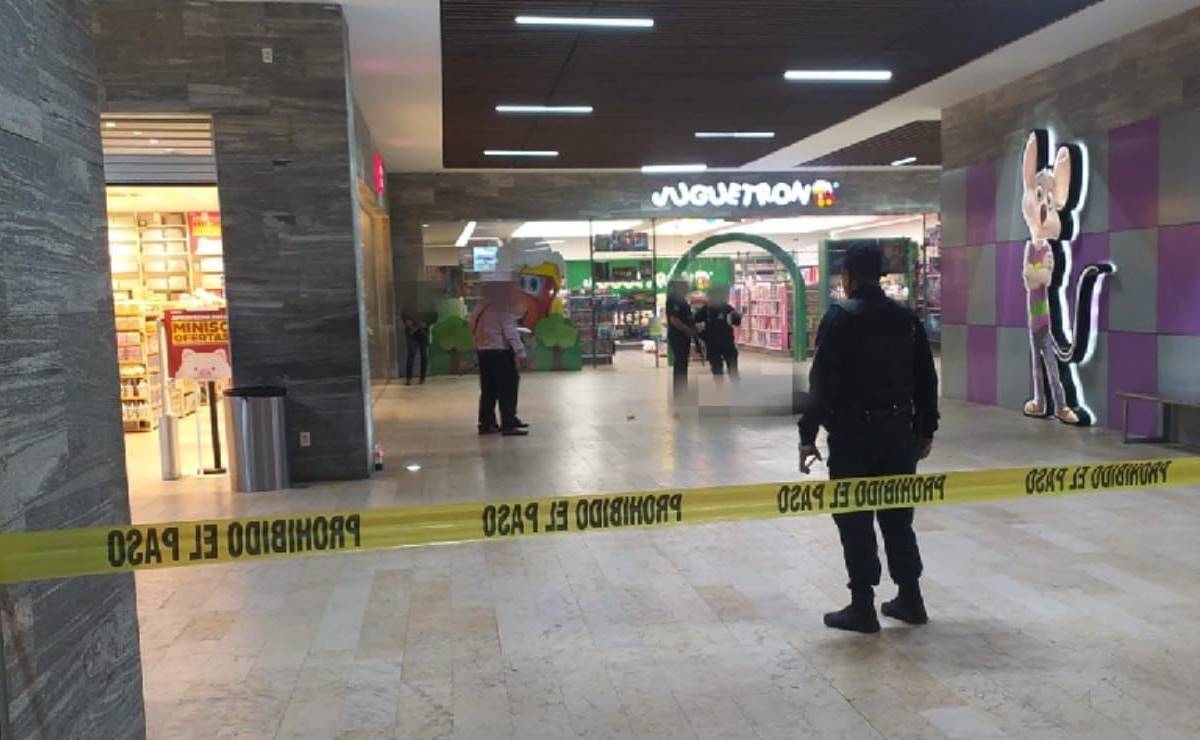 La Cámara de Comercio en San Luis pide robustecer los esquemas de seguridad en centros comerciales, especialmente en días de mayor aforo. Foto: Archivo