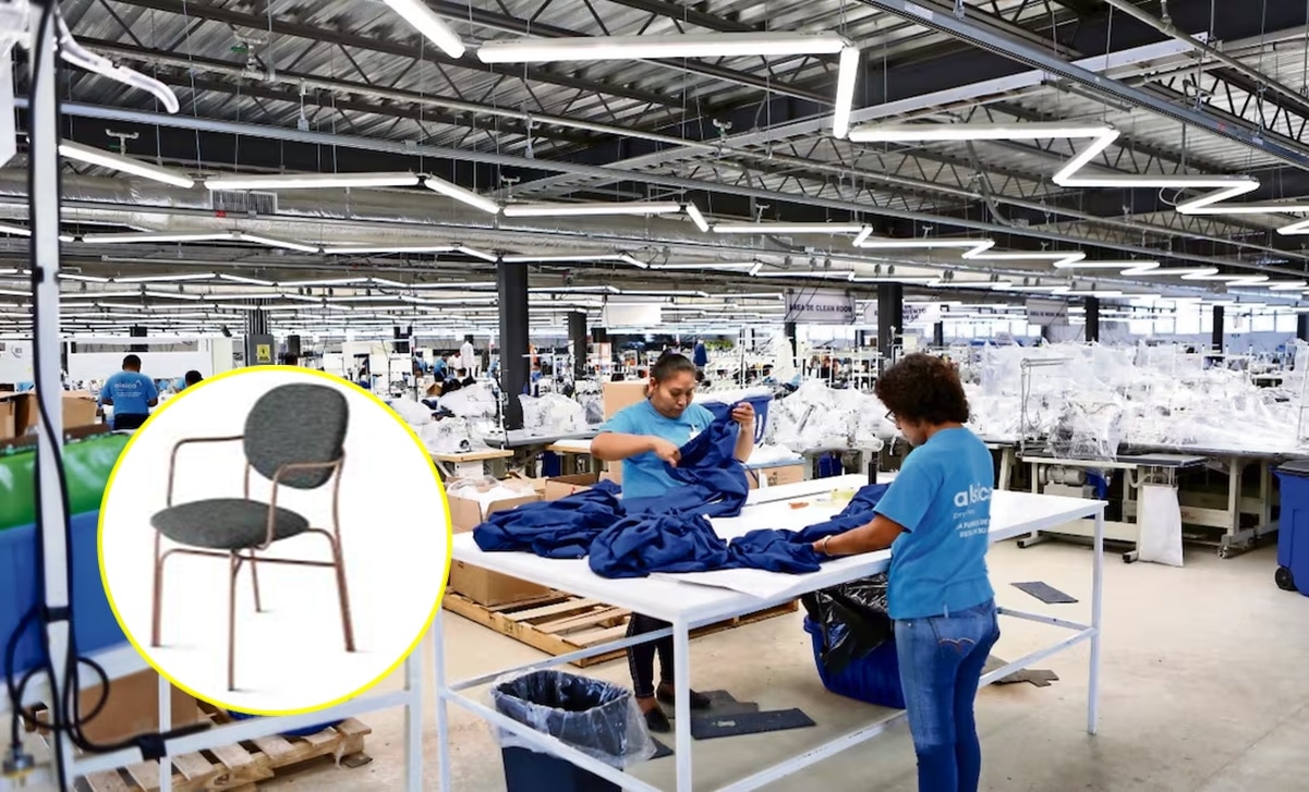 ¡La Ley Silla entra en vigor! Negocios de SLP se preparan para implementarla  