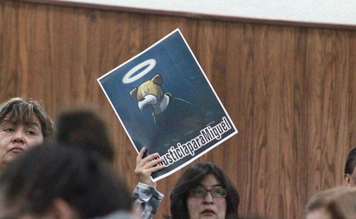 Activistas piden se aplique al pie de la letra la Ley contra maltrato animal en SLP