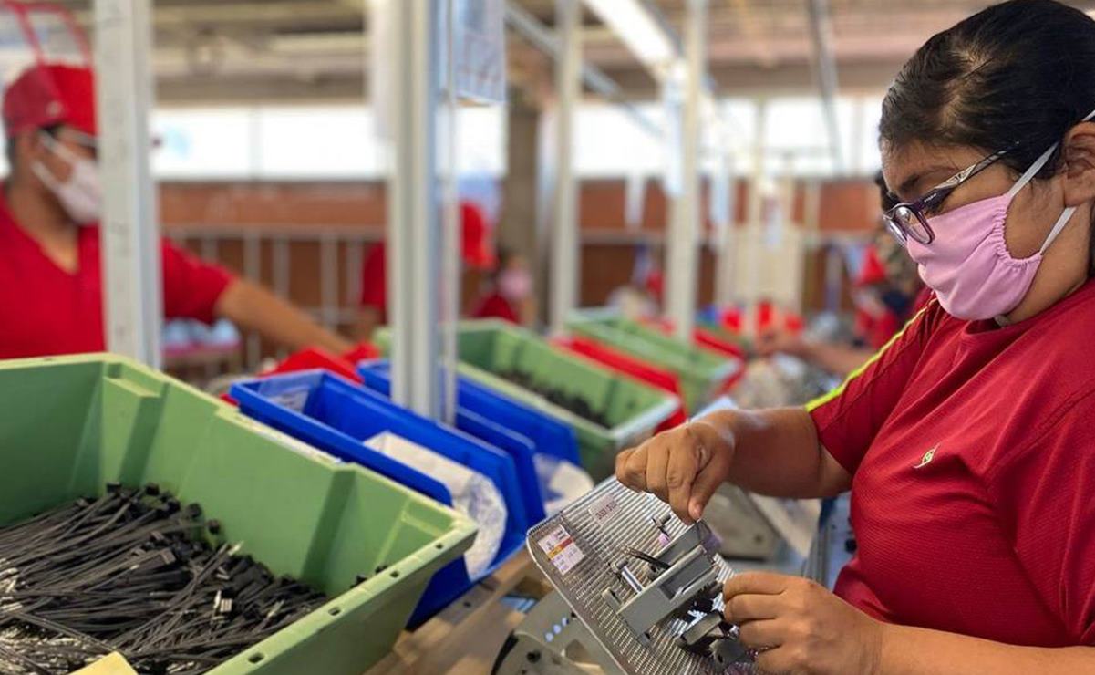 Realizarán feria del empleo para personas con discapacidad en San Luis Potosí. Foto: Especial