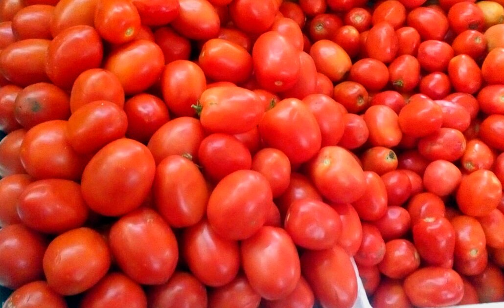 Foto: Archivo El Universal San Luis Potosí