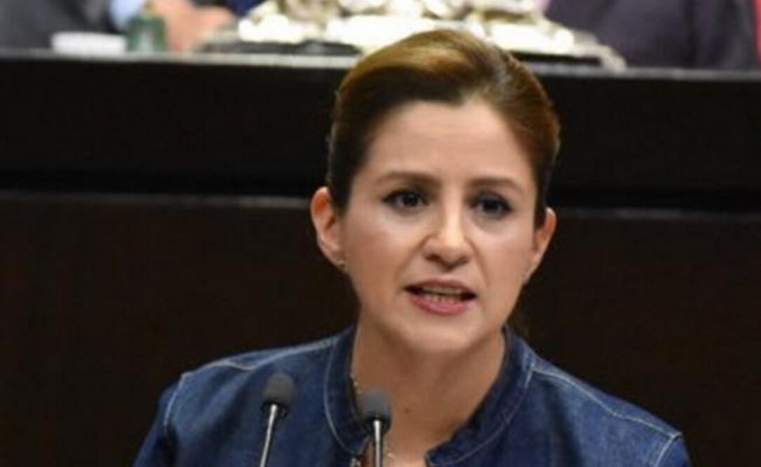 La diputada de MC, Martha Tagle. Foto: Especial