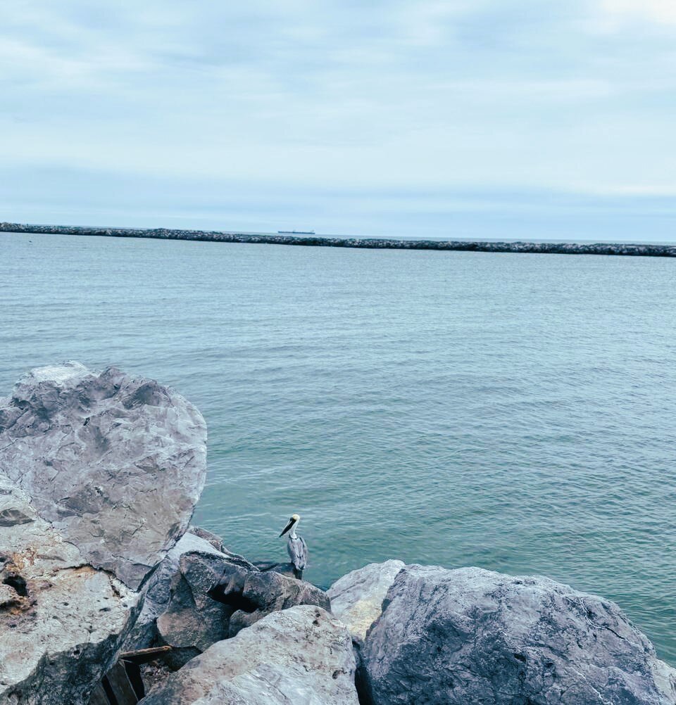 Playa Miramar. Foto: FB, Visit and Enjoy México