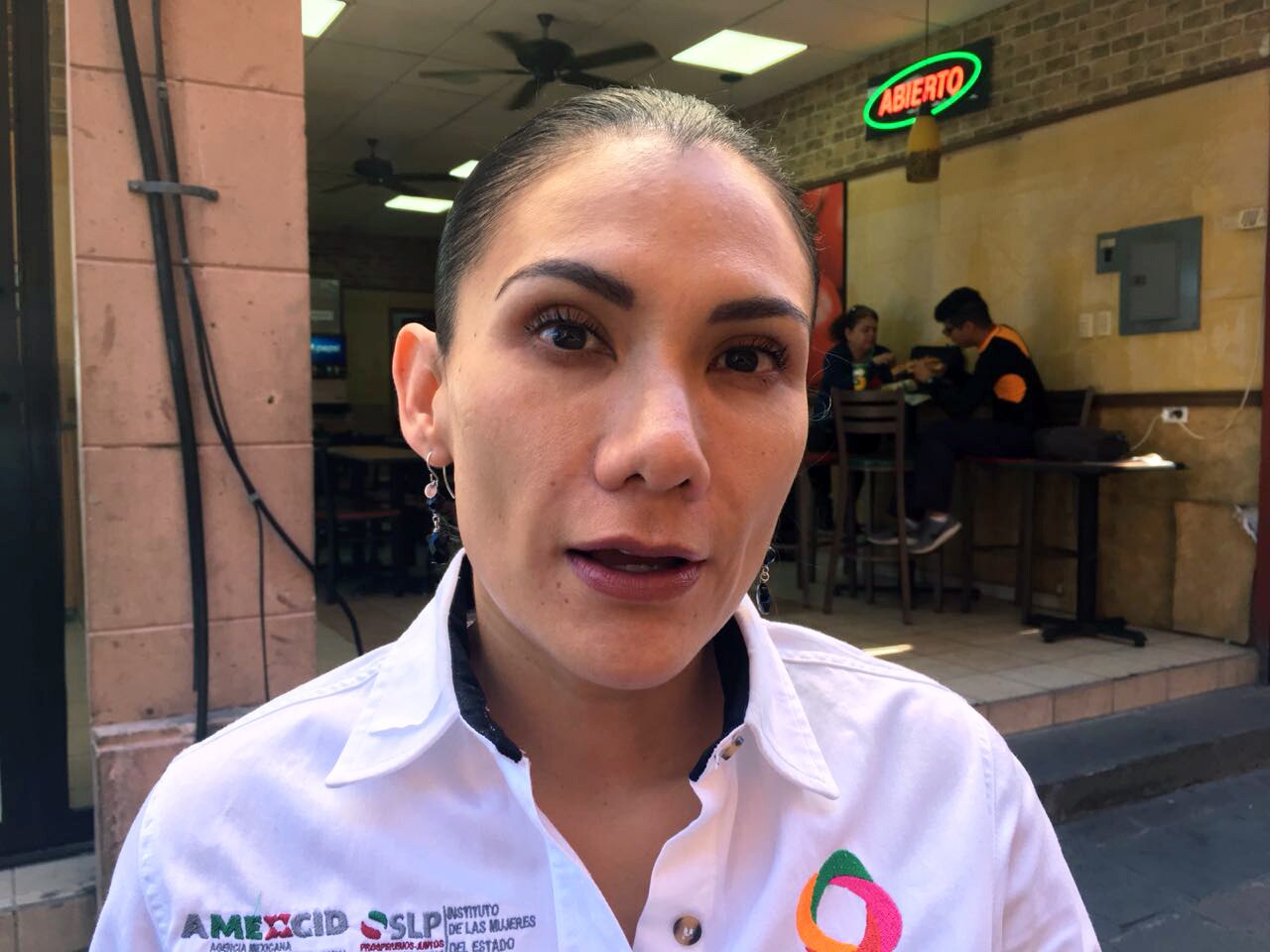 Discusión sobre el aborto con perspectiva de género: IMES