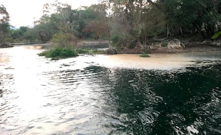 Suspenden actividades del Ingenio Alianza Popular por descargas irregulares en río Tamasopo