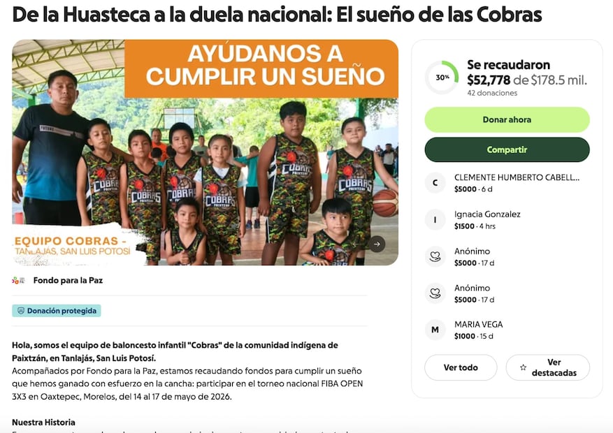 A solo unos días de la competencia, el equipo de las "Cobras" han recabado la mitad de la meta para cubrir sus gastos. Foto: gofundme.com