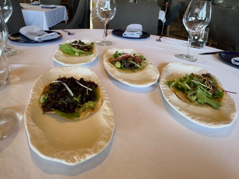Tacos de insectos en el viñedo Pozo de Luna en Soledad, SLP.