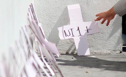 Ni al 70 por ciento funciona la AVG, asegura Consejo Consultivo de las Mujeres