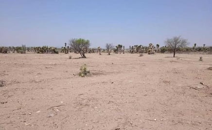 Parque Tangamanga de Soledad, en la cuerda floja: Gallardo; Ayuntamiento no ha presentado terreno