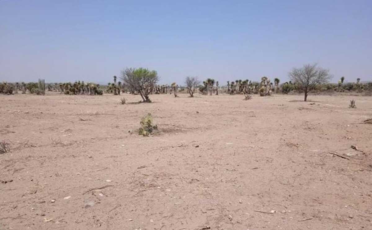 Parque Tangamanga de Soledad, en la cuerda floja: Gallardo; Ayuntamiento no ha presentado terreno. Foto: Especial