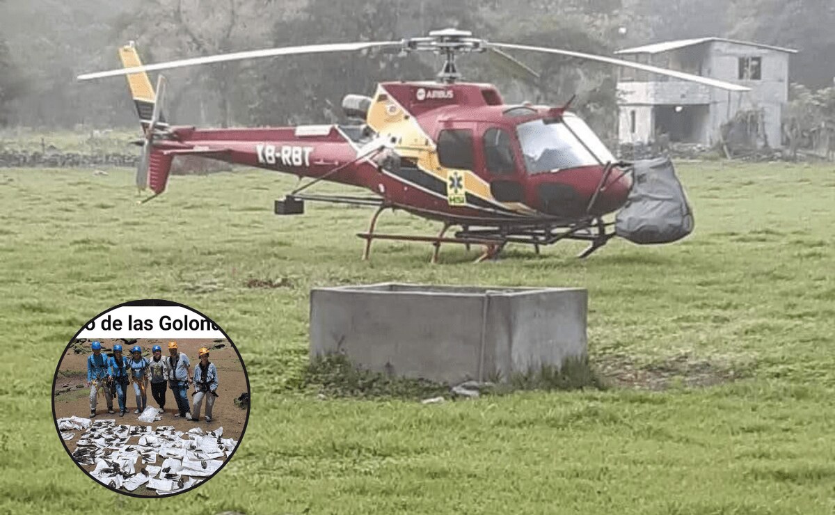 Acusan a grupo Vidanta de causar muerte de aves por sobrevolar Sótano de las Golondrinas