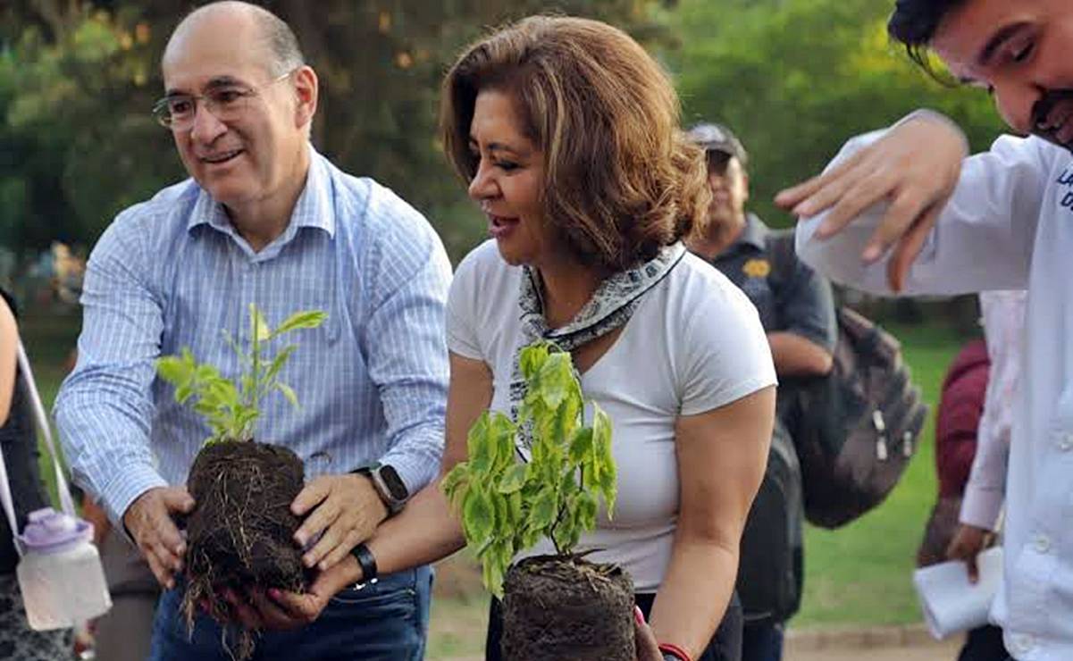 Plantan 2 mil árboles en el Parque de Morales para regresar vida a este pulmón verde de SLP