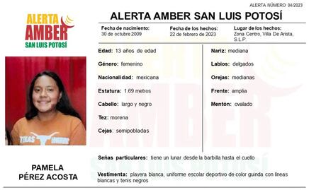 Desaparece adolescente en Villa de Arista, activan alerta amber