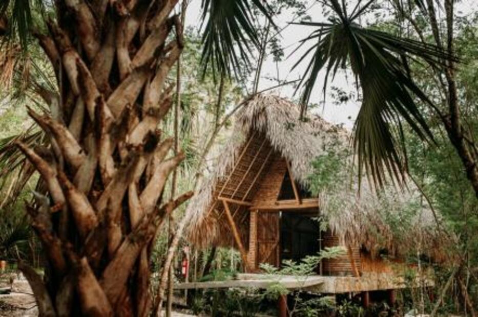 “Selva Teenek Ecopark” recibirá premio a nivel nacional