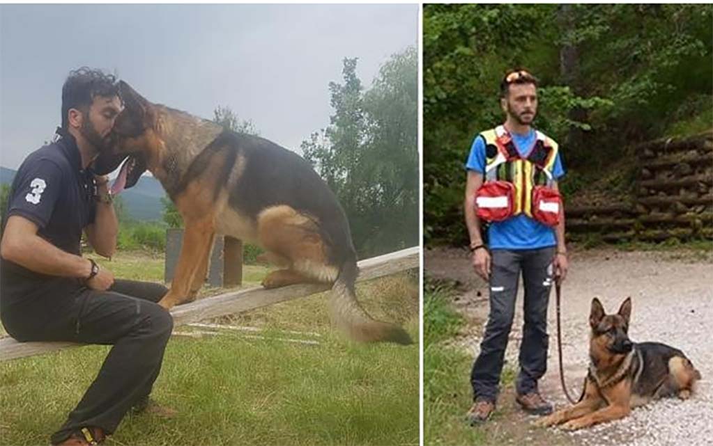 "Kaos", el "perro héroe" que rescató a víctimas de sismo en Italia, muere envenenado