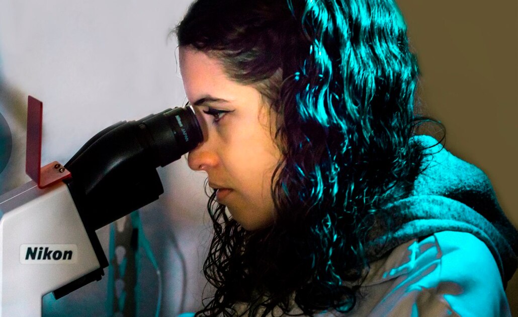 Nanomedicina, el futuro para tratar enfermedades