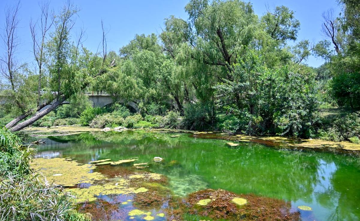 Invertirán 7 mil mdp para transformar región Media en un polo de desarrollo en SLP. Foto: Especial