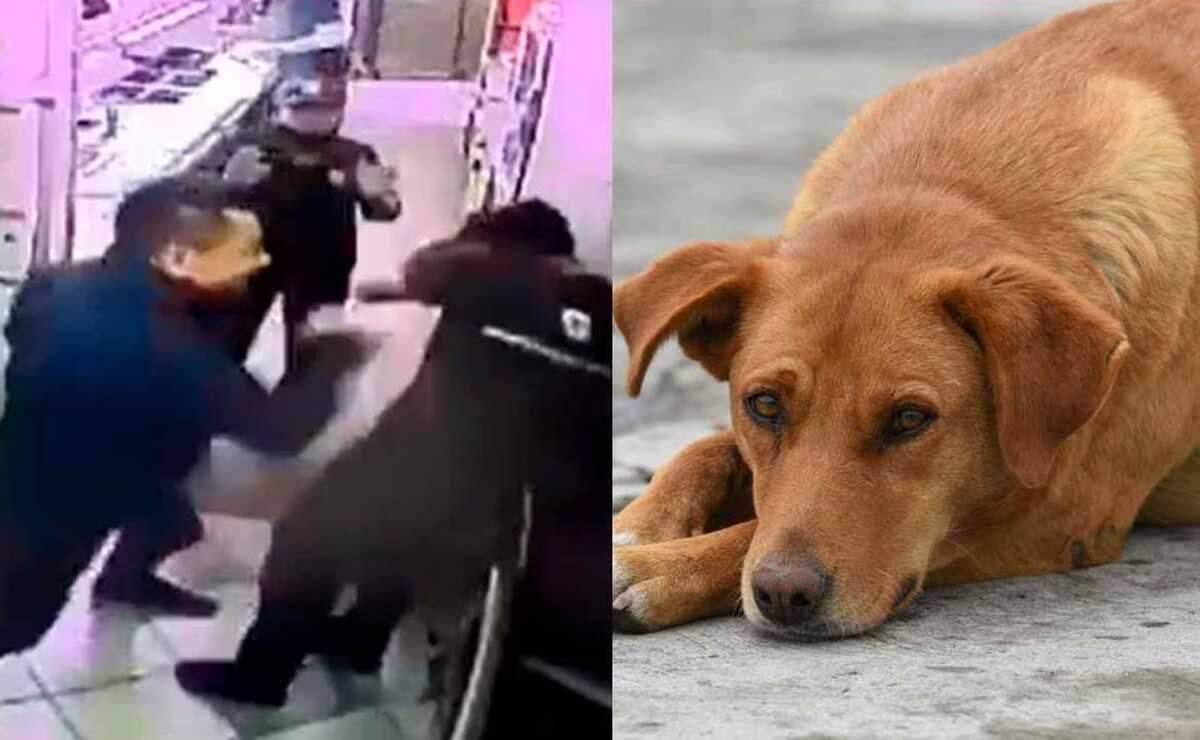 Denuncian al atacante de empleado de Subway en SLP ahora por crueldad animal