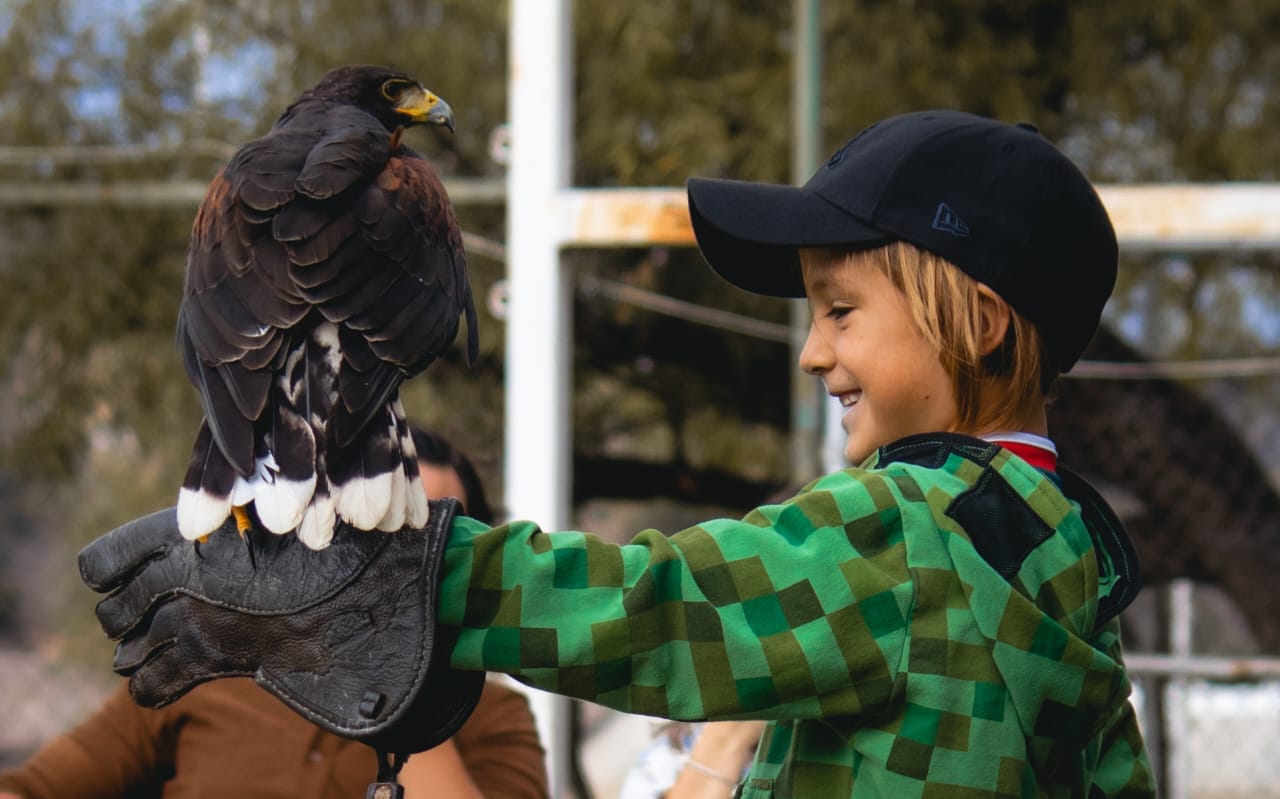 Zoológico. Foto: FB, Zoológico De Mexquitic